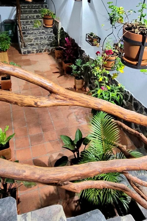 Apartment Tucanes